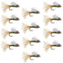 Olive Iris Caddis Emerger Caddis  Trout Dry Fly - 12 Flies Hook Size 16