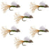 Olive Iris Caddis Emerger Caddis  Trout Dry Fly - 6 Flies Hook Size 16
