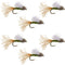Olive Iris Caddis Emerger Caddis  Trout Dry Fly - 6 Flies Hook Size 14