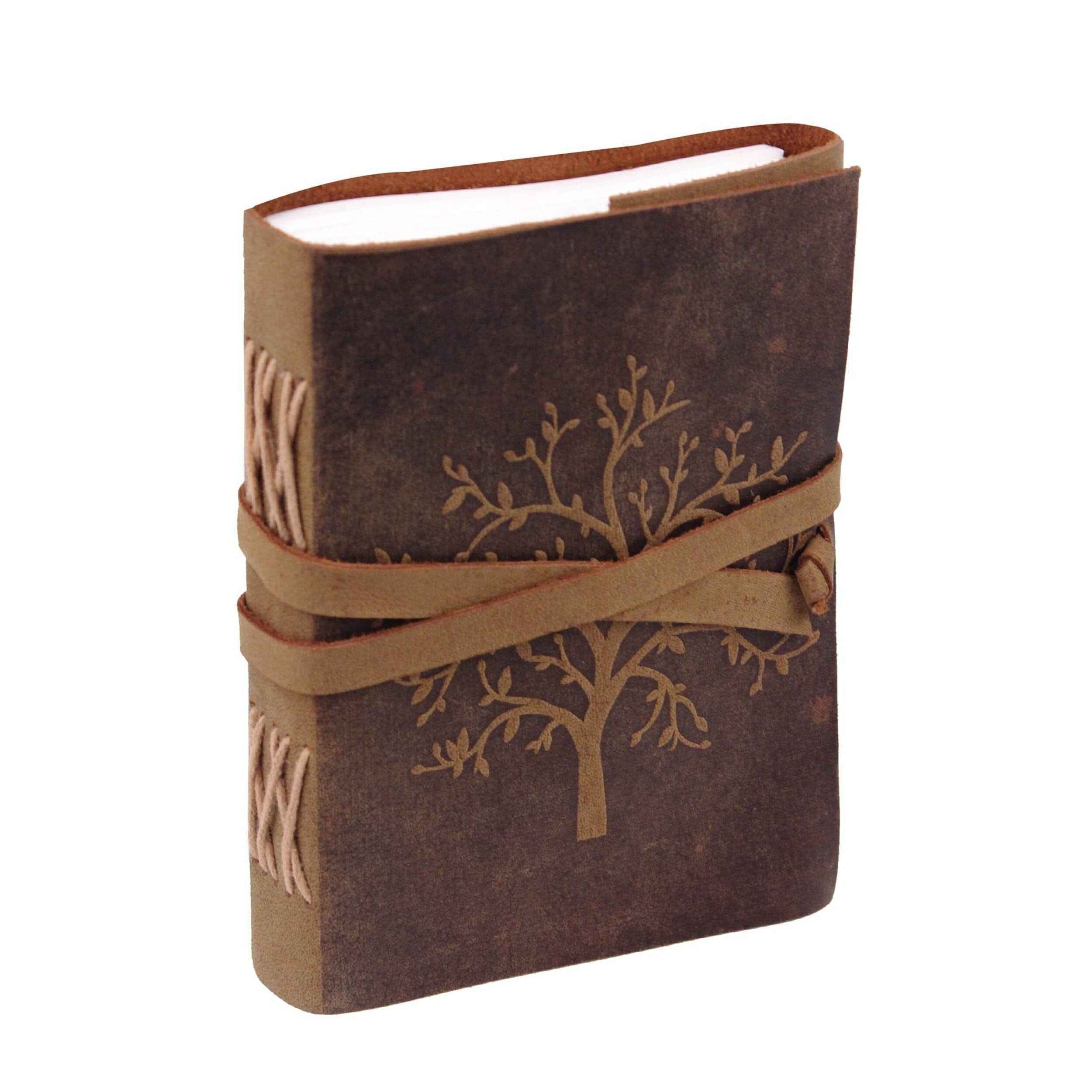 The Sapling Notebook