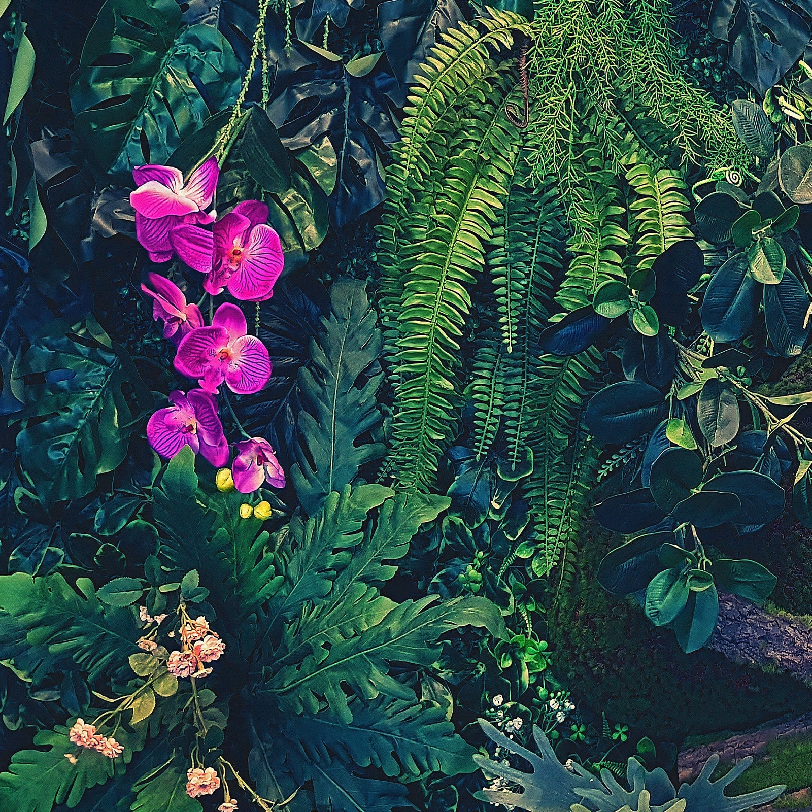 Jungle Wallpaper, Forest Greenery Botanical Wall Mural. #6741