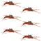 Gold Bead Kaufmann's Brown Stone Fly with Rubber Legs - Stonefly Wet Fly - 6 Flies Hook Size 12