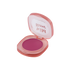 Petal Perfect | Wild Rose Lip & Cheek Cream Blush
