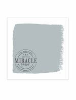 Miracle Paint (32 oz.)