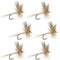 Light Cahill Classic Trout Dry Fly Fishing Flies - Set of 6 Flies Size 14