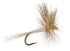 3 Pack Light Cahill Classic Trout Dry Fly Fishing Fly - Hook Size 12