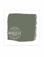 Miracle Paint (32 oz.)