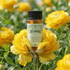 Love Language Fragrance Oil