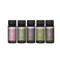 Luxe Scents Pro-Pod™ Discovery Set