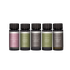 Luxe Scents Pro-Pod™ Discovery Set