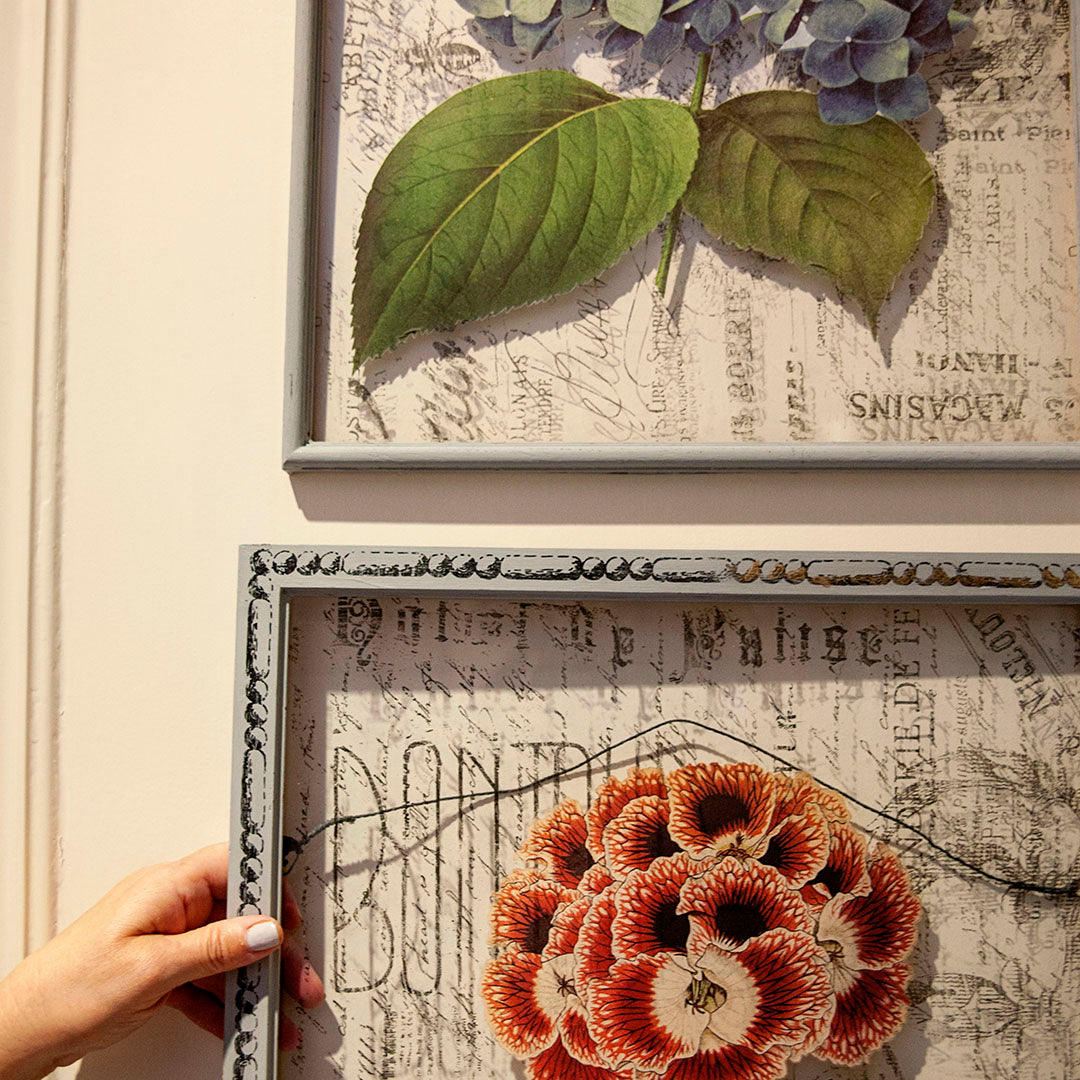 Flowers - Hydrangea - Color Transfer - 24” x 22”