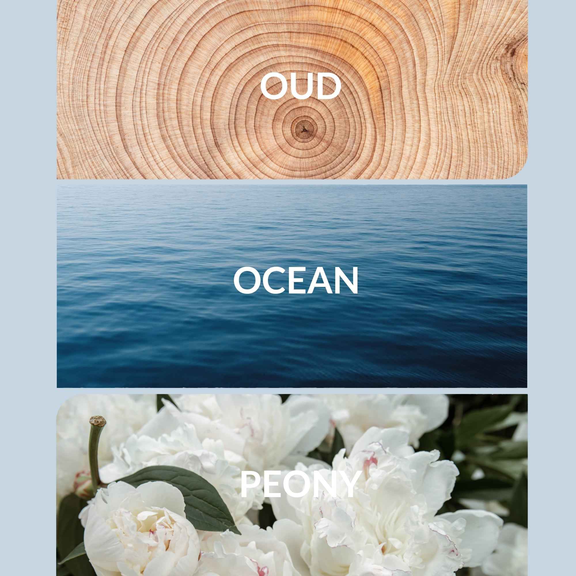 Mother Ocean