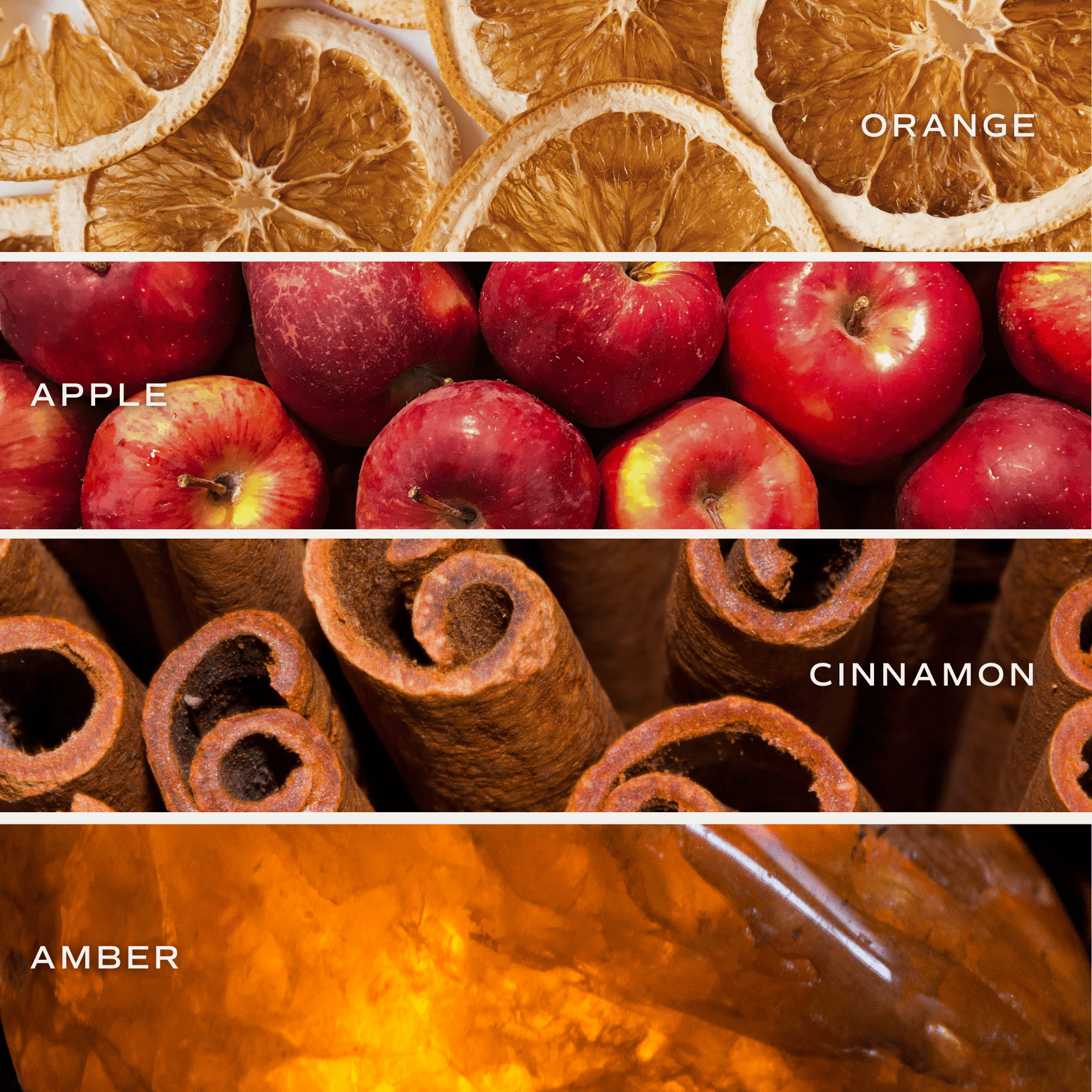 Mulled Cider Hanging Air Freshener