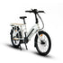 MAX-CARGO 2.0 - Electric Bicycle