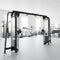 Standard Cable Crossover Machine with Pull-Up Bar | Muscle D Fitness