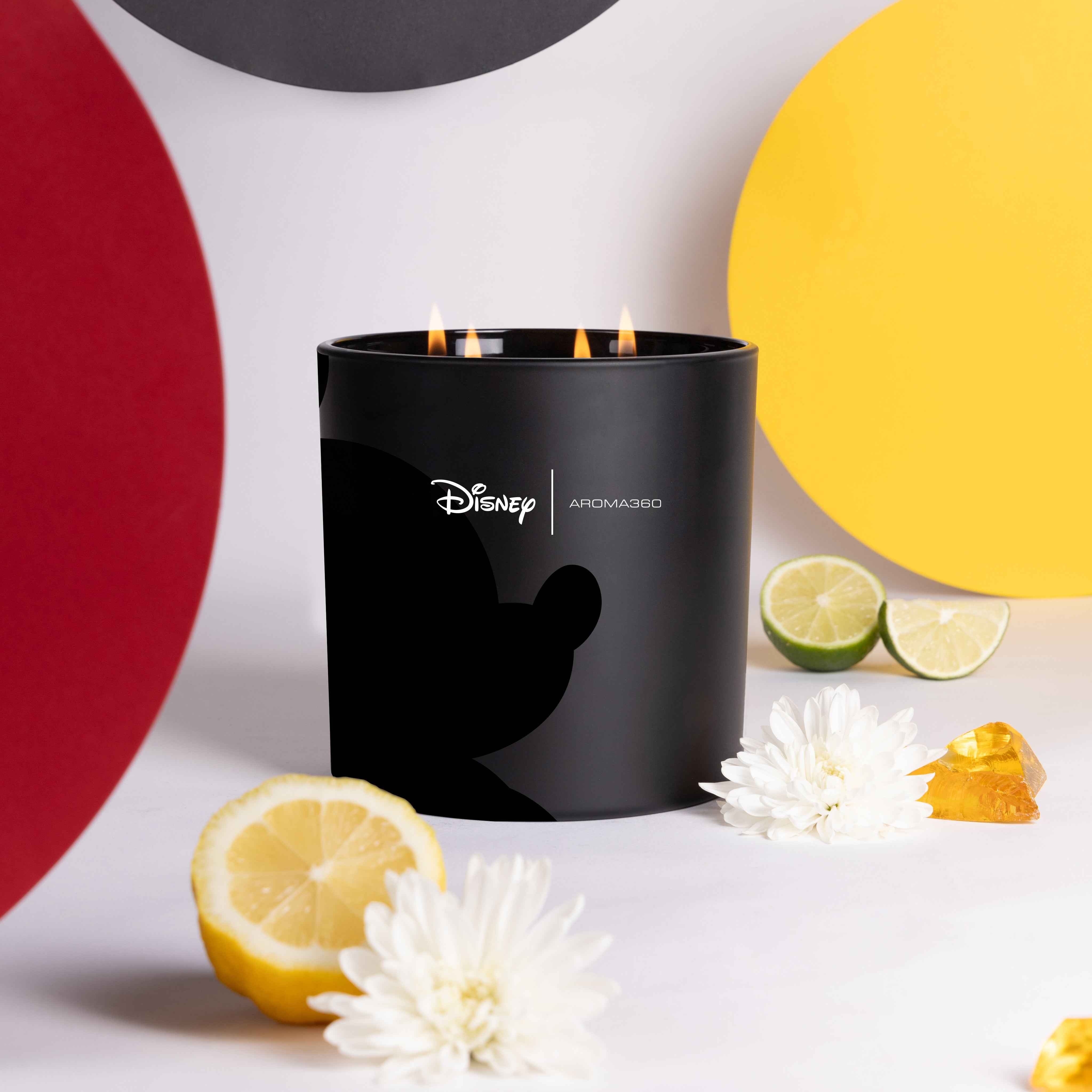 Started With A Mouse 4-Wick Candle