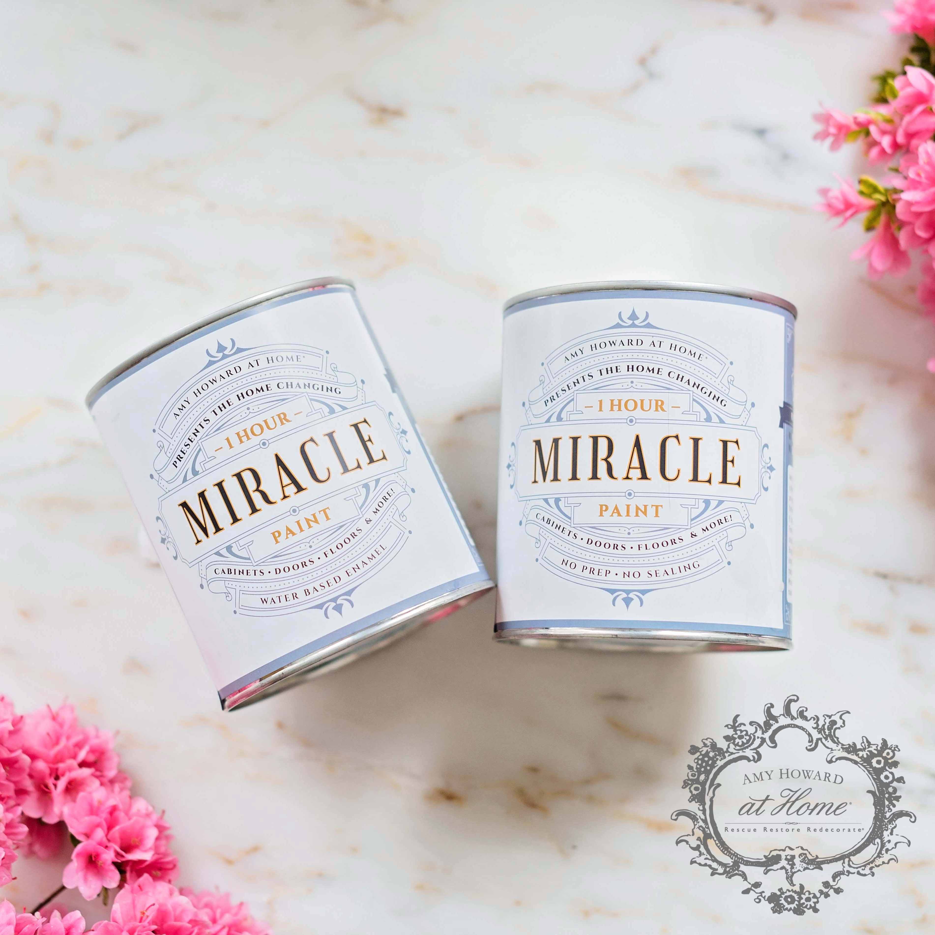 Miracle Paint - Coral Sea (32 oz.)