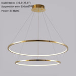 Large Ring Stainless Steel Light Fixture for Staircase