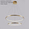 Large Ring Stainless Steel Light Fixture for Staircase