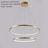 Large Ring Stainless Steel Light Fixture for Staircase
