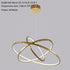 Large Ring Stainless Steel Light Fixture for Staircase
