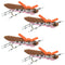4 Pack Moorish Hopper Brown Pink Foam Body Grasshopper Fly - Hook Size 10