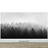 Black and White Misty Pine Forest Wallpaper. #6673