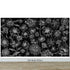 Black Floral Background, Black and White Flower Wallpaper Mural. #6677