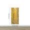 Autumn Scenic Birch Tree Forest Wall Mural | Peel and Stick Wallpaper. #6202