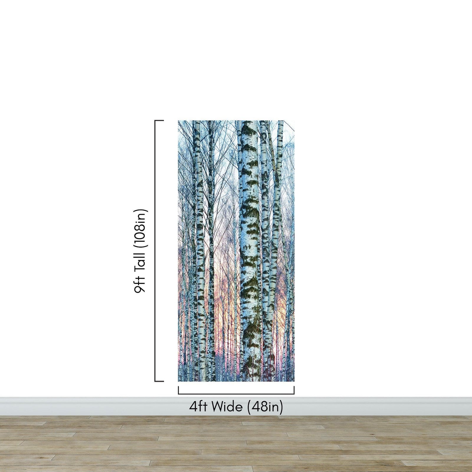 White Birch Tree Forest Wall Mural Wallpaper. Sunset Scenery. #6246
