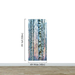 White Birch Tree Forest Wall Mural Wallpaper. Sunset Scenery. #6246