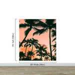 Sunset Wallpaper Mural. Palm Trees Tropical Vibe. #6871
