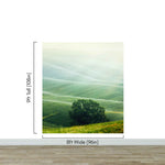 Tuscany Rolling Hills Meadow Wall Mural. Italian Countryside. #7053