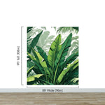 Rainforest Jungle Wallpaper. Banana Leaf Wall Mural. #6788