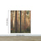 Forest Wallpaper Mural. Woodland Country Theme / Farmhouse Wall Decor. #6777