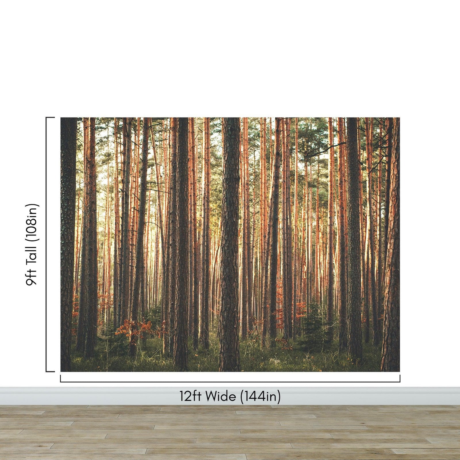 Forest Wallpaper Mural. Woodland Country Theme / Farmhouse Wall Decor. #6777
