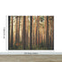 Forest Wallpaper Mural. Woodland Country Theme / Farmhouse Wall Decor. #6777