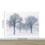 Black and White Snow Covered Trees Winter Landscape Wall Mural. #7042