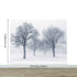 Black and White Snow Covered Trees Winter Landscape Wall Mural. #7042