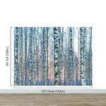 White Birch Tree Forest Wall Mural Wallpaper. Sunset Scenery. #6246