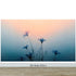 Morning Dew Misty Flower Wallpaper Mural. #7021