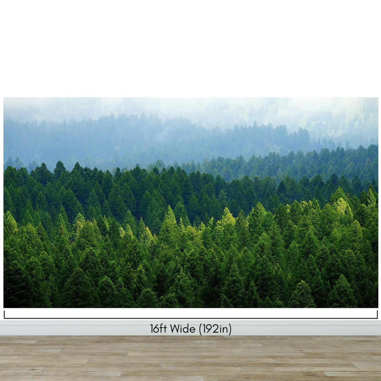 Green Forest Wallpaper Mural. Scenic Landscape Wall Mural. #6894