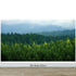 Green Forest Wallpaper Mural. Scenic Landscape Wall Mural. #6894