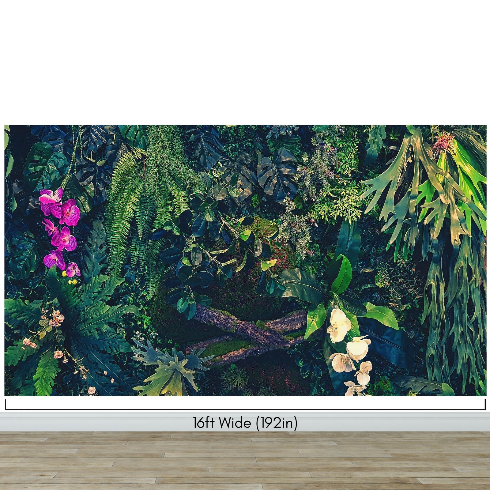 Jungle Wallpaper, Forest Greenery Botanical Wall Mural. #6741