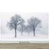 Black and White Snow Covered Trees Winter Landscape Wall Mural. #7042