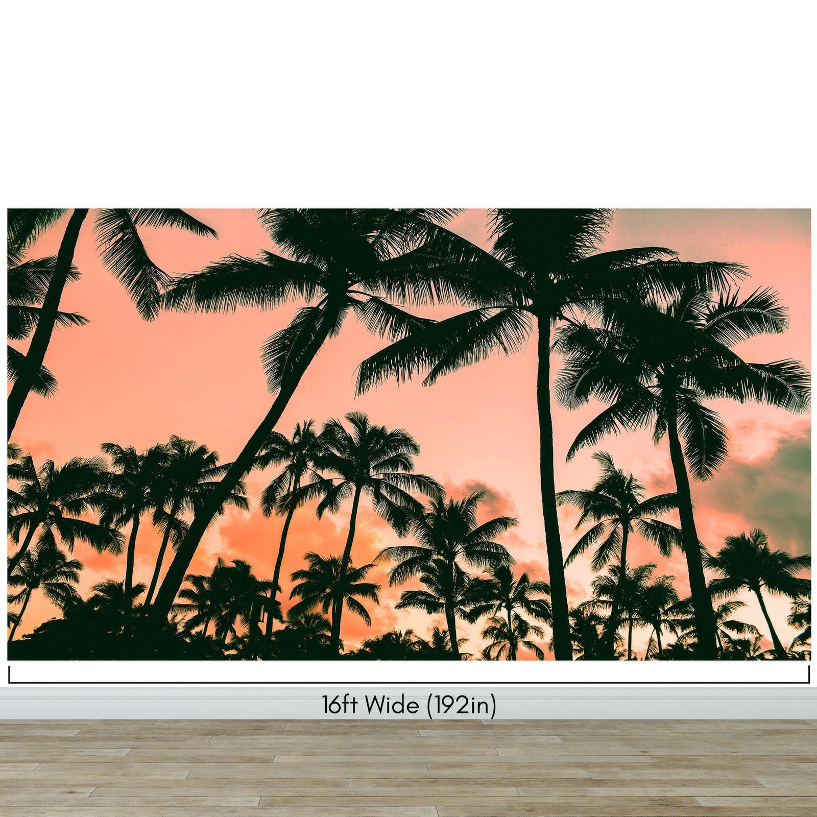 Sunset Wallpaper Mural. Palm Trees Tropical Vibe. #6871