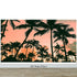 Sunset Wallpaper Mural. Palm Trees Tropical Vibe. #6871