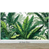 Rainforest Jungle Wallpaper. Banana Leaf Wall Mural. #6788