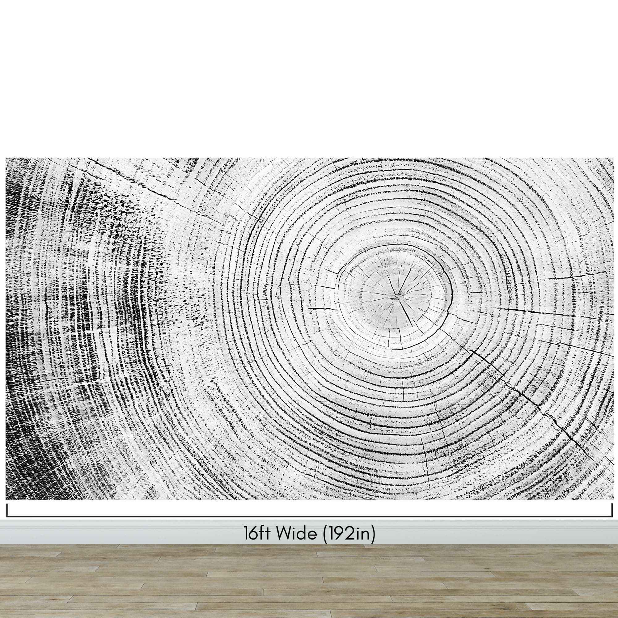 Tree Rings Wallpaper Mural. Black and White  Modern Wood Grain Circle Pattern. #7022