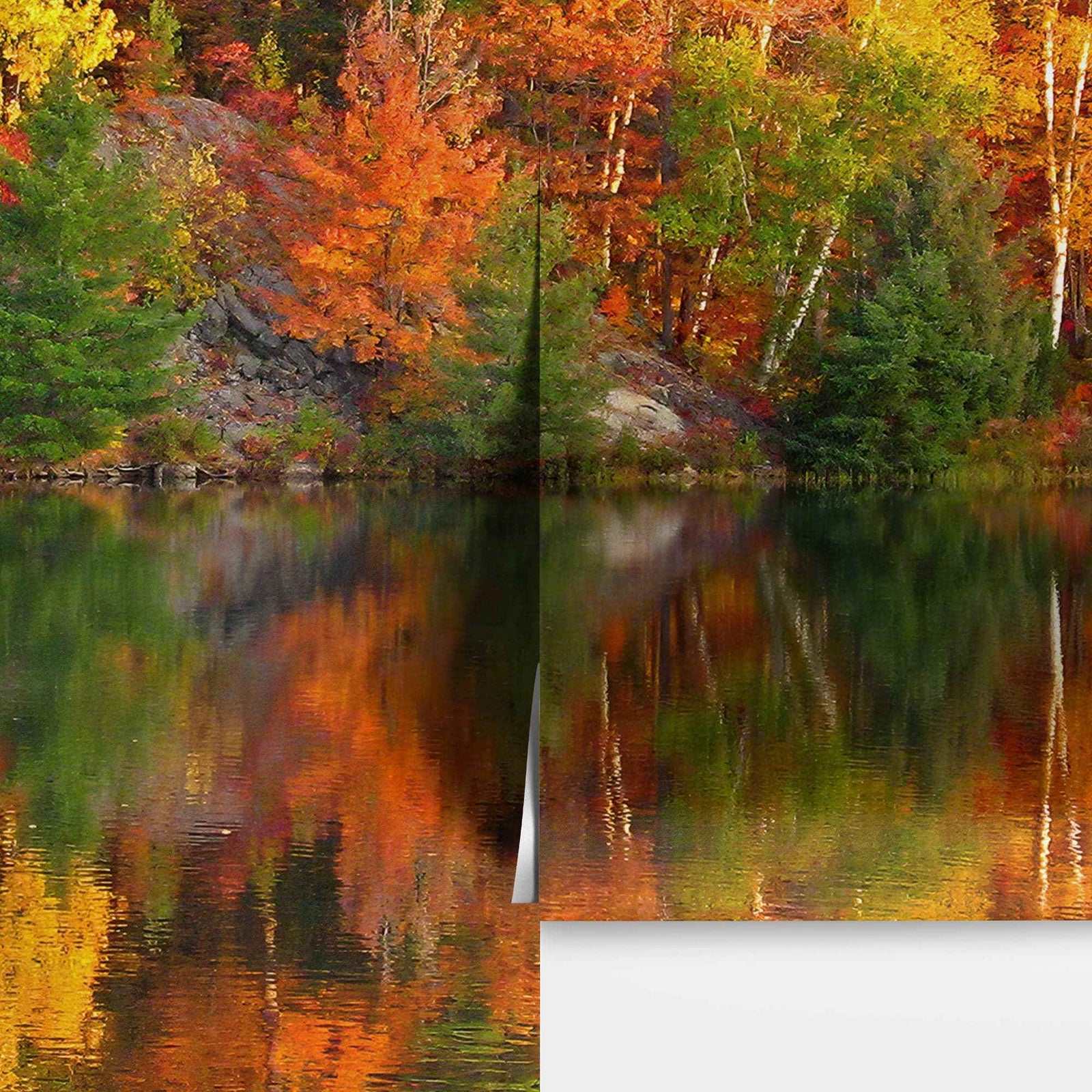 Colorful Autumn Forest Over Lake Wall Mural. Fall Foliage. #7052